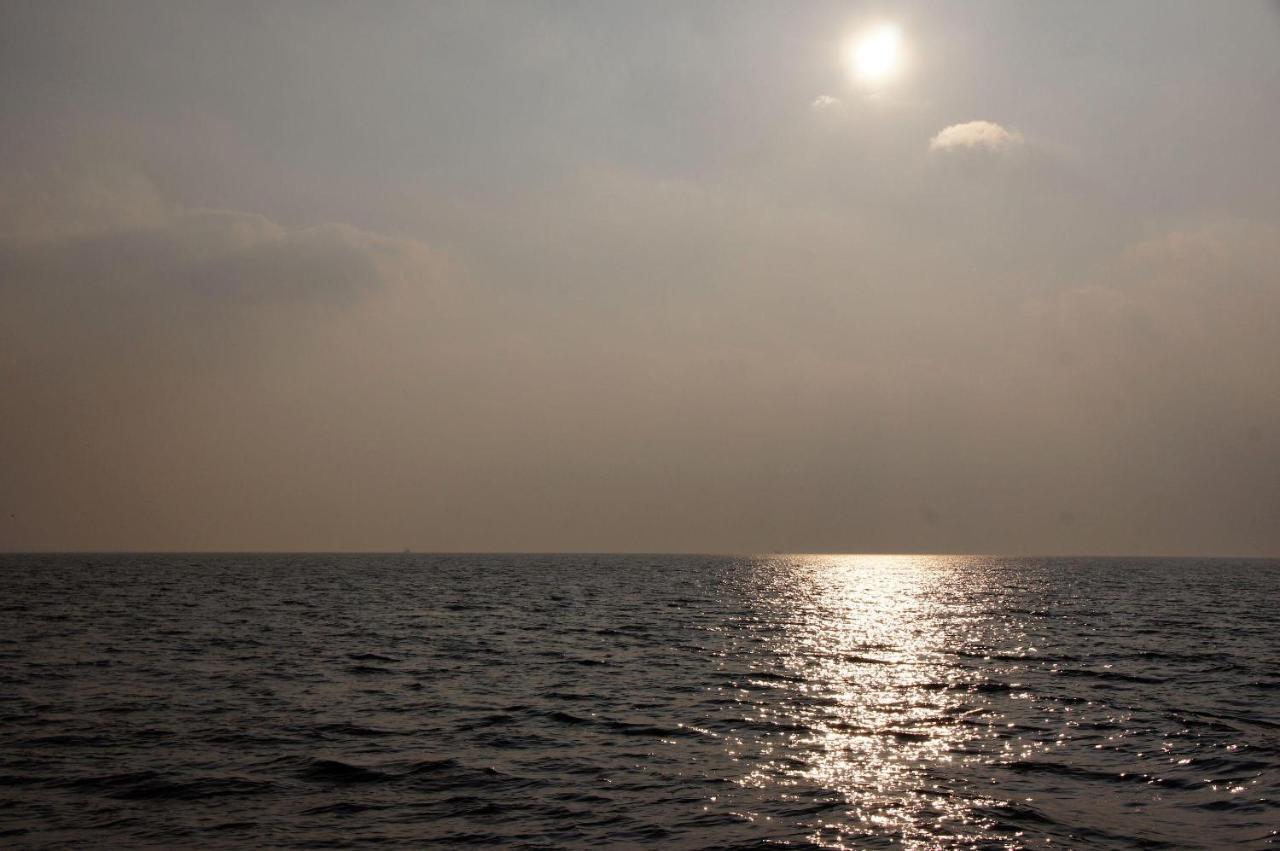 Goldene-Linie-4-Taubennest Daire Schillig Dış mekan fotoğraf